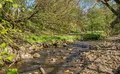 Property image gallery