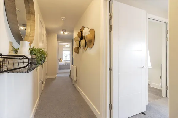 Elm Grove, Exmouth, EX8 photo 10