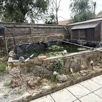Property 13