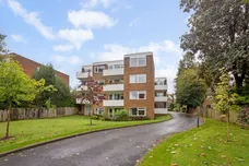 Milton Road Harpenden AL5 photo 17