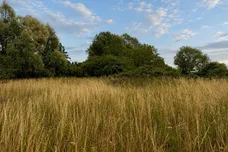 Mill Hill Road, Boughton, King's Lynn