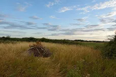 Mill Hill Road, Boughton, King's Lynn