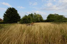 Mill Hill Road, Boughton, King's Lynn
