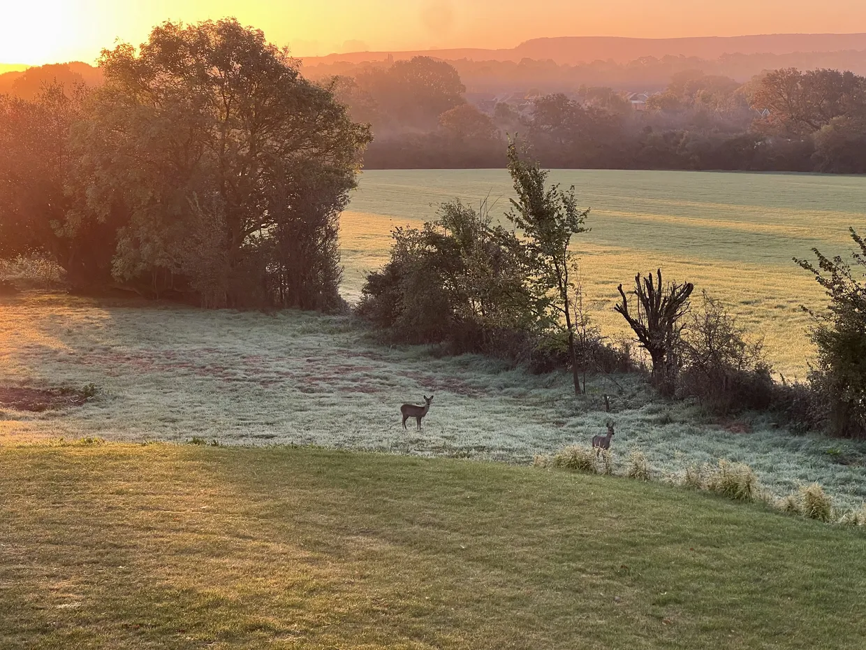 Langton Lane, Hurstpierpoint, BN6 photo 16