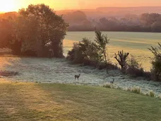 Langton Lane, Hurstpierpoint, BN6 photo 16