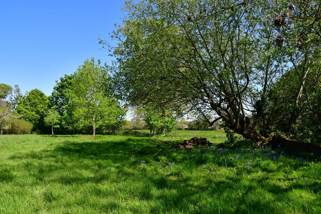 Langton Lane, Hurstpierpoint, BN6 photo 19