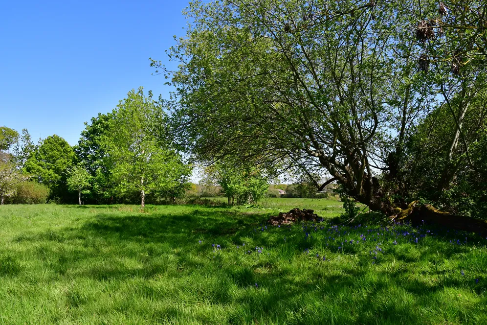 Langton Lane, Hurstpierpoint, BN6 photo 19