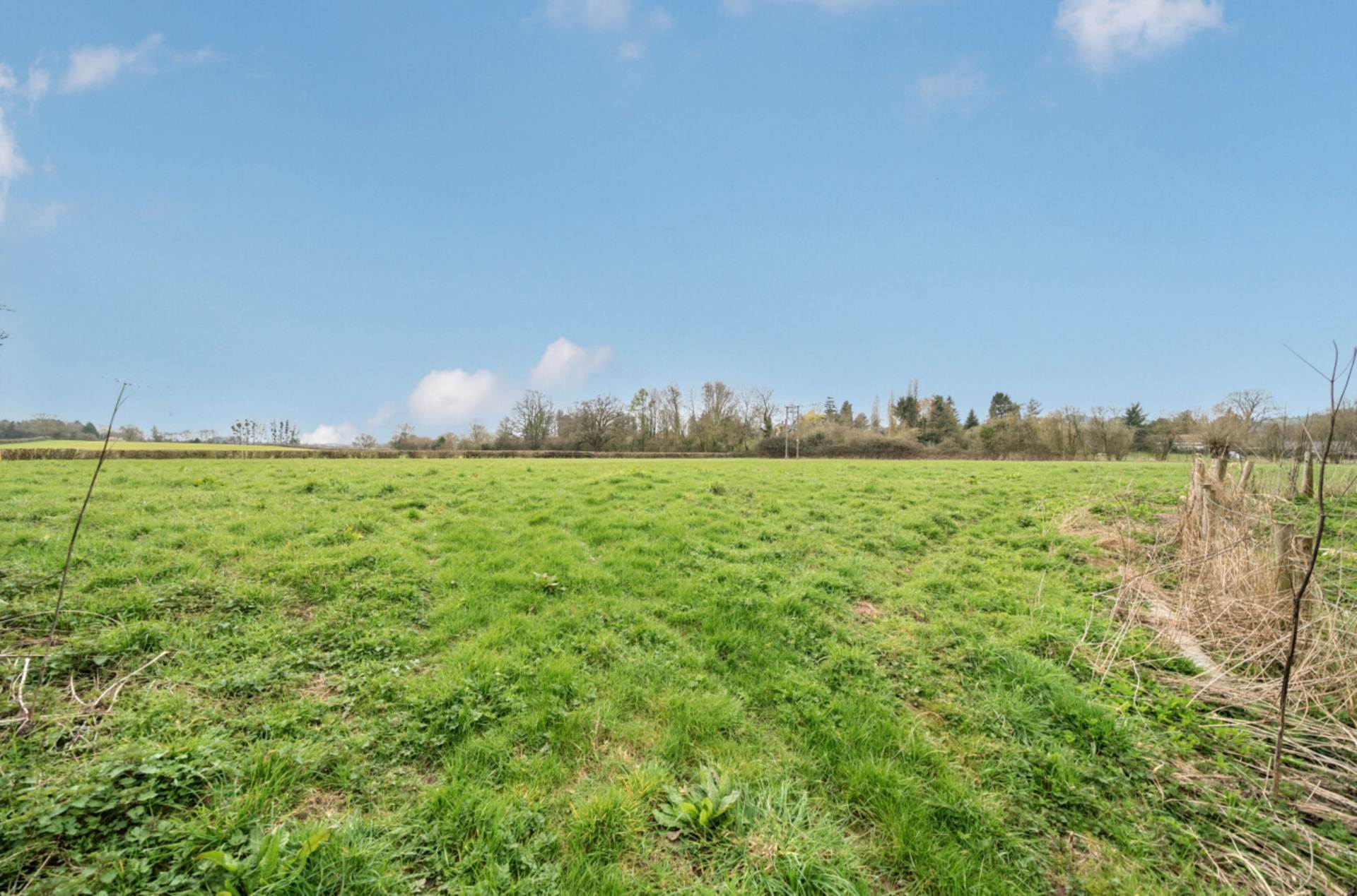 Land at Pool House, Richards Castle, Nr Ludlow, Shropshire. Image 2