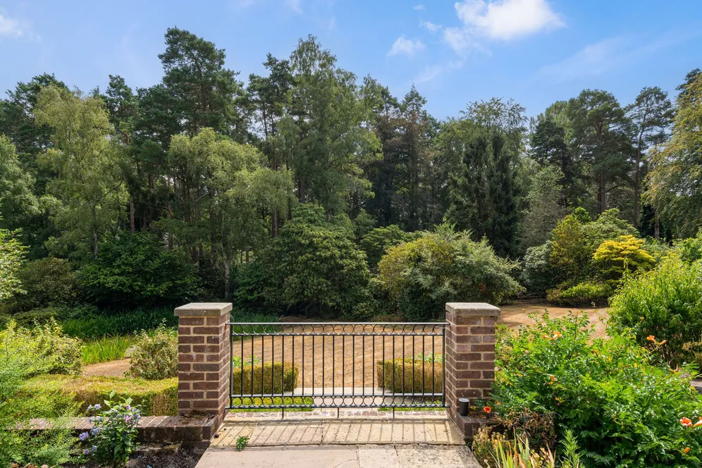 Hatton Hill, Windlesham, GU20 photo 18