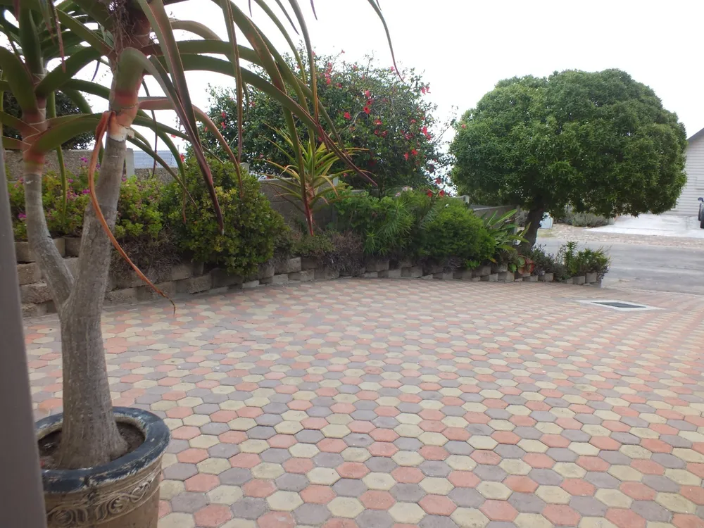South Africa, Western Cape, Dana Bay, P. Mellifera Street, 21