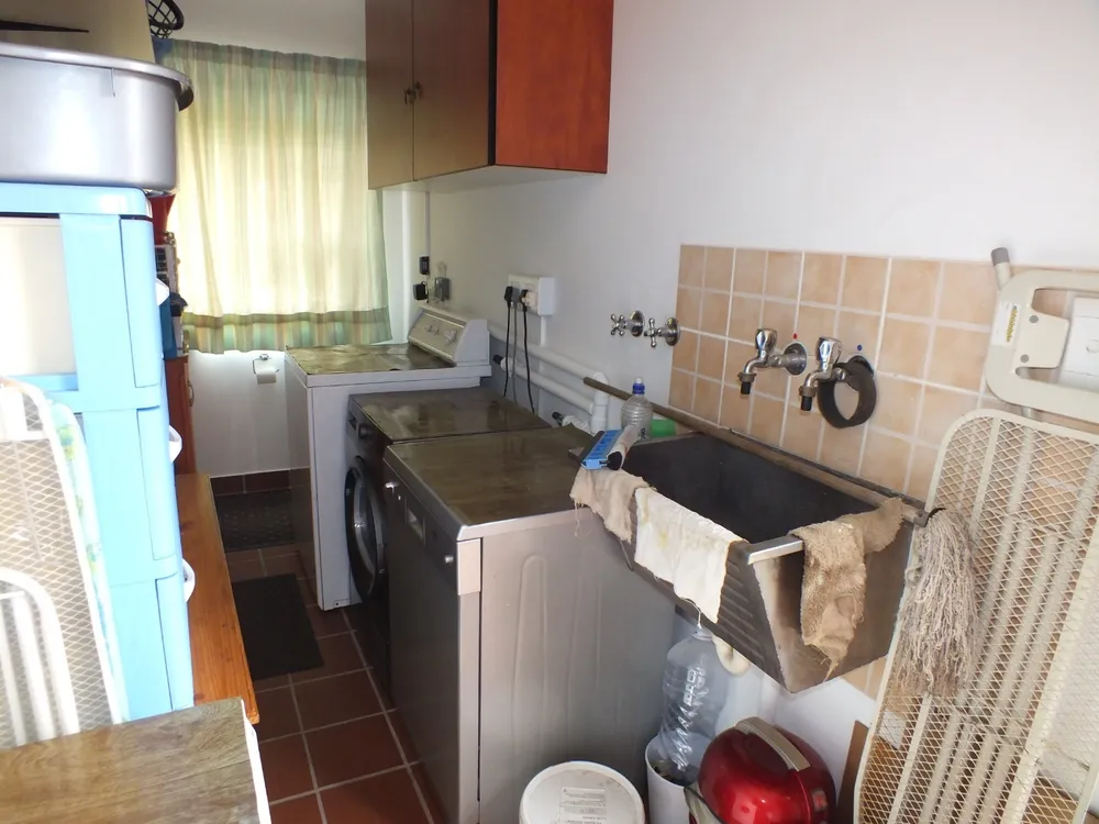 South Africa, Western Cape, Dana Bay, P. Mellifera Street, 21