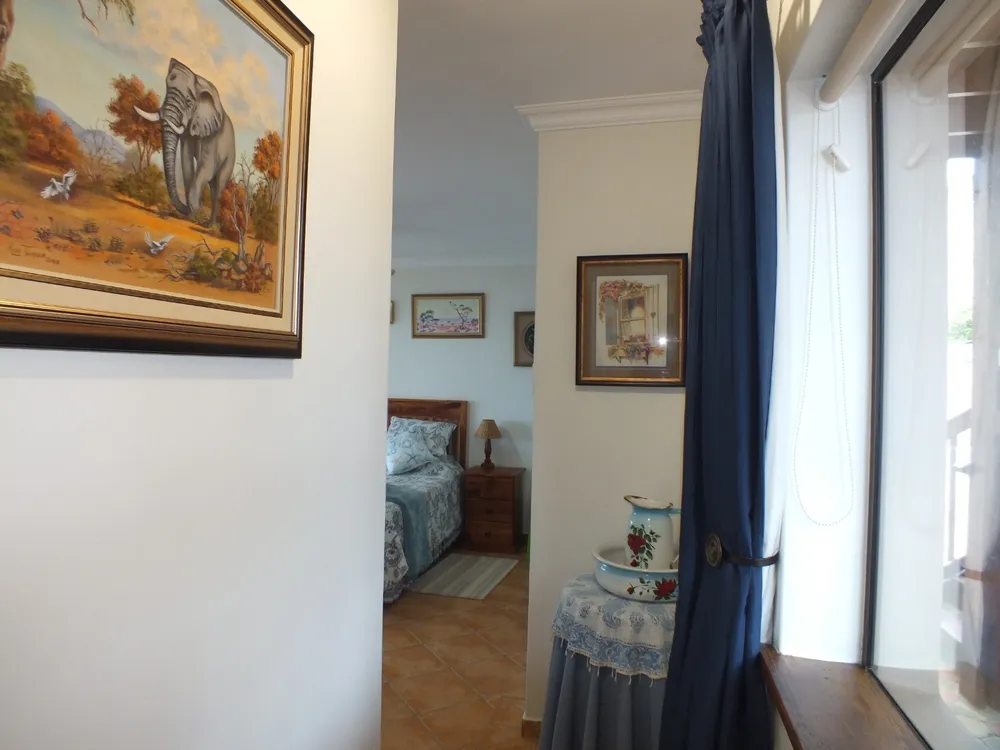 South Africa, Western Cape, Dana Bay, P. Mellifera Street, 21