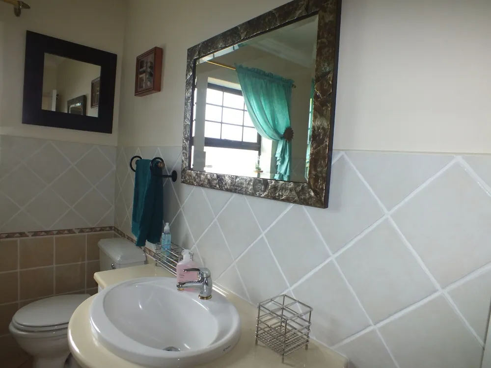 South Africa, Western Cape, Dana Bay, P. Mellifera Street, 21