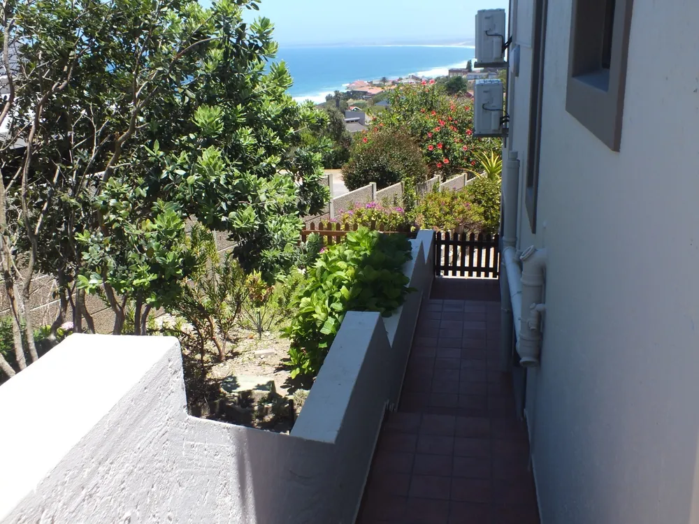 South Africa, Western Cape, Dana Bay, P. Mellifera Street, 21