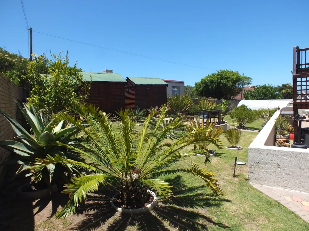 South Africa, Western Cape, Dana Bay, P. Mellifera Street, 21