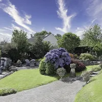 Property 38