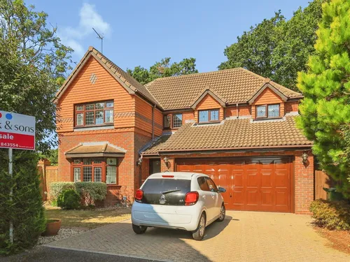 Lavender Close, Hailshamphoto