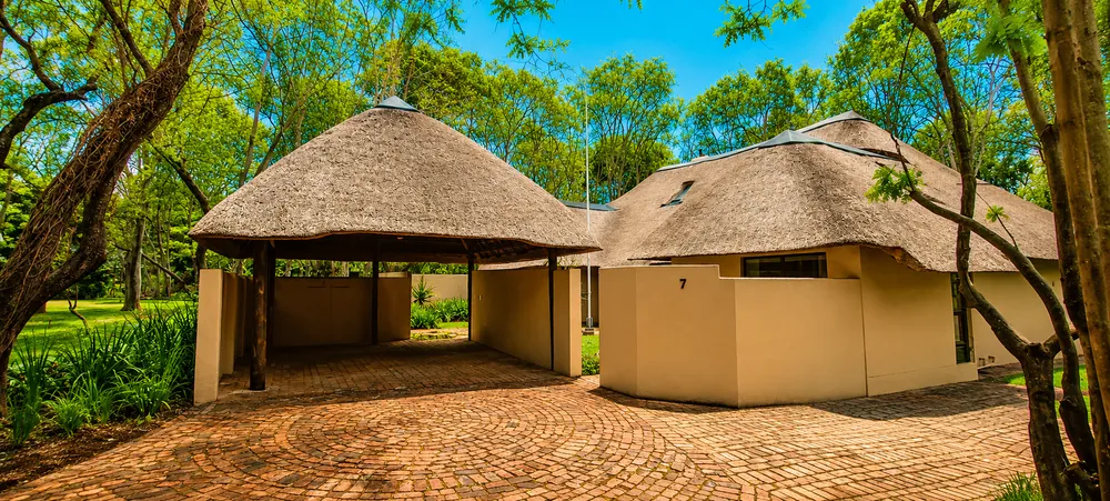 South Africa, North West, Lakeland Estate, kingfisher, 7