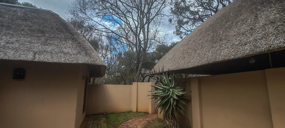 South Africa, North West, Lakeland Estate, kingfisher, 7