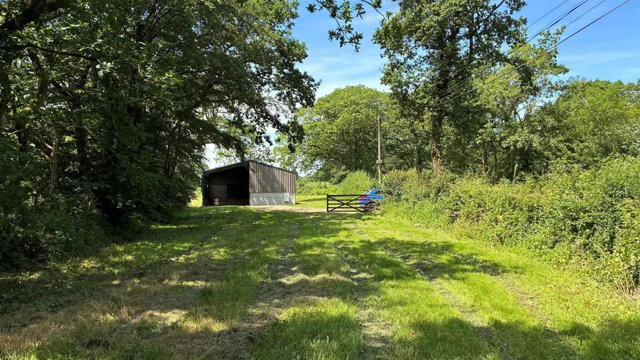 Property Image 8