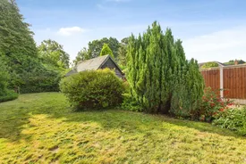 Property responsive