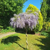 Property 29