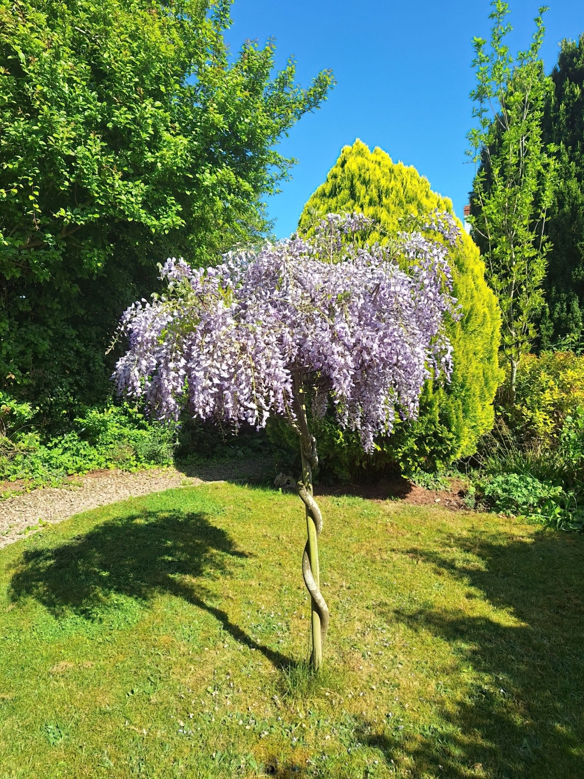 Bridstow, Ross-on-Wye, Herefordshire, HR9 Image 29
