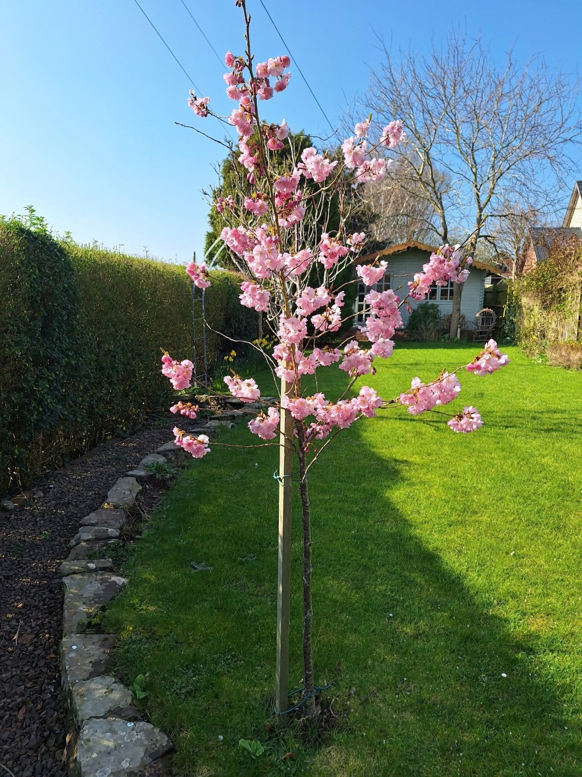 Bridstow, Ross-on-Wye, Herefordshire, HR9 Image 30