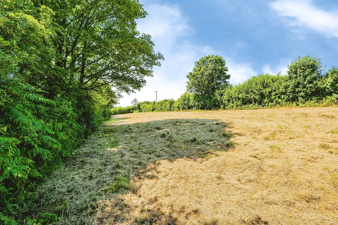 Property photo 23