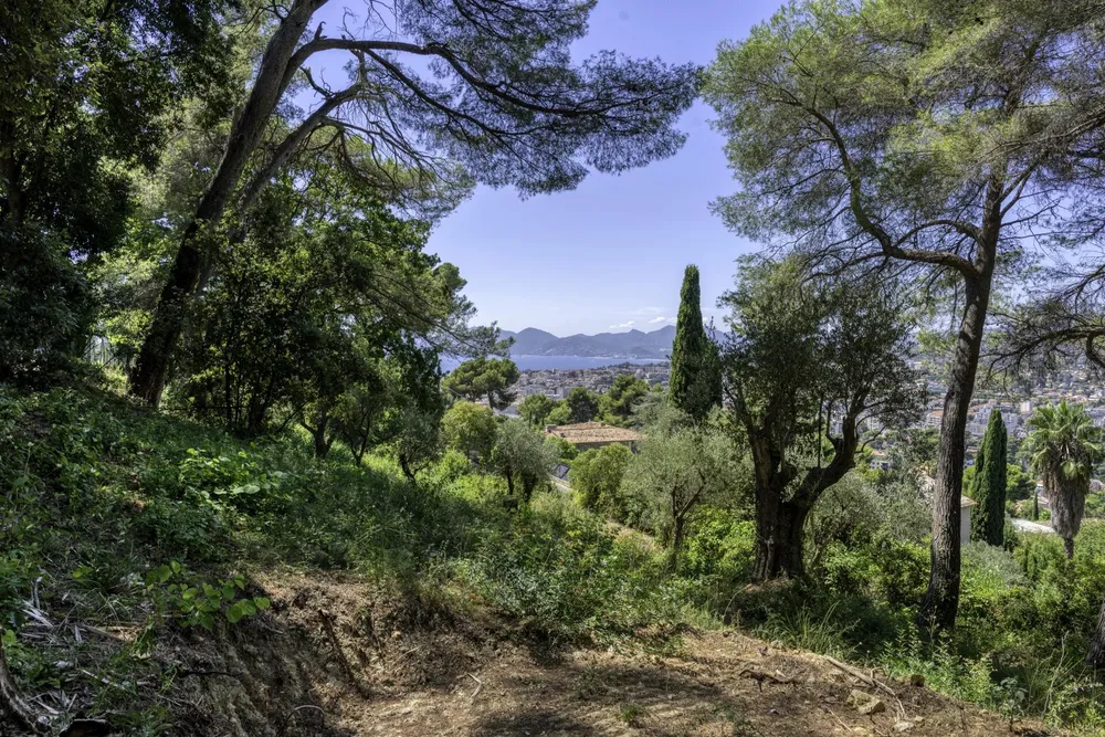 Cannes (Californie), 06400, France