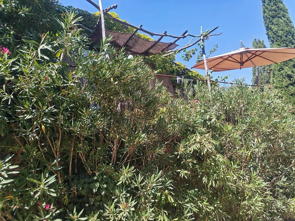 Grimaud, 83680, France