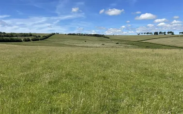 Withypool, Minehead