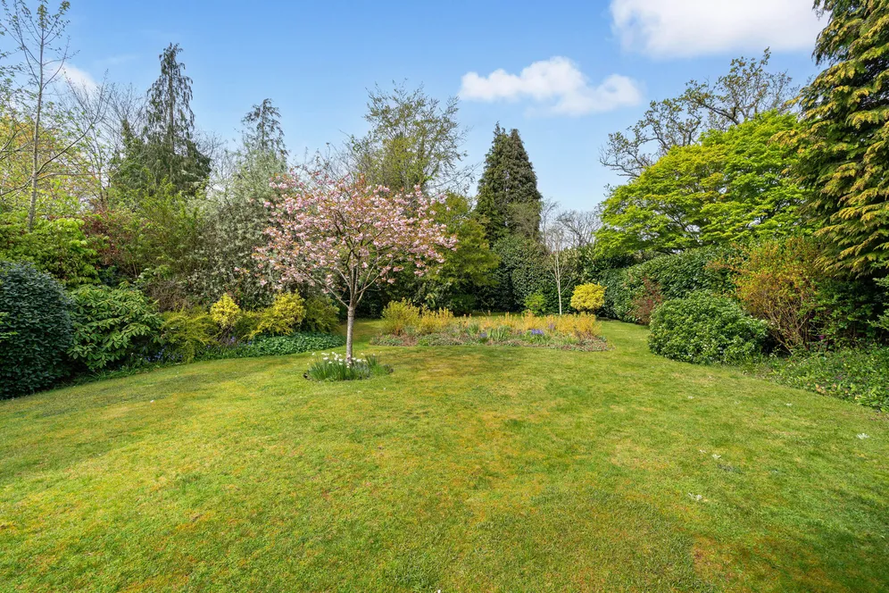 Onslow Road, Sunningdale, SL5 photo 11