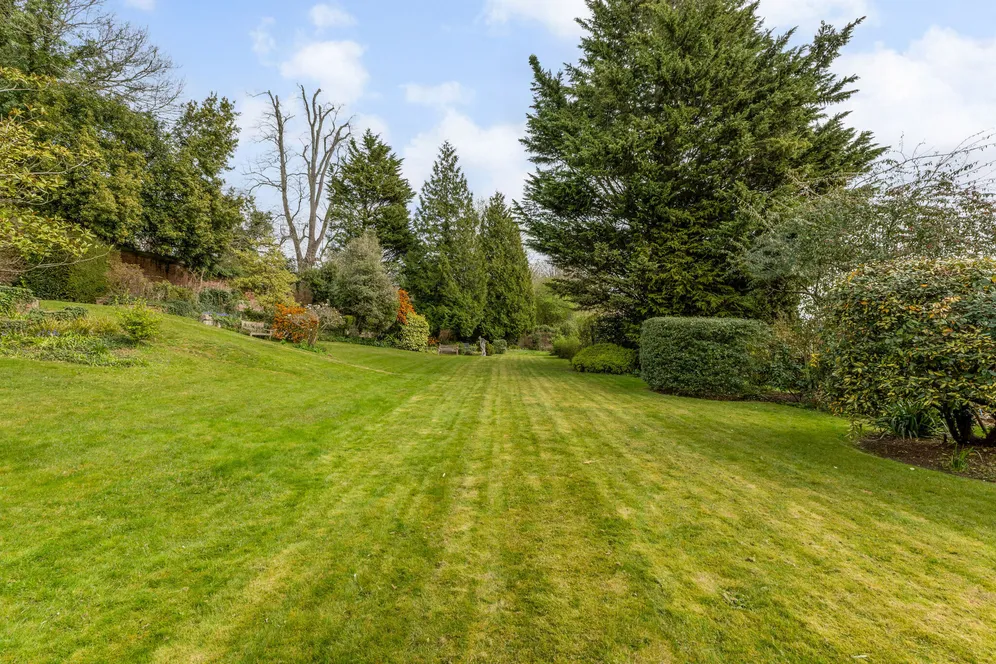 Castle Hill, Farnham, GU9 photo 23