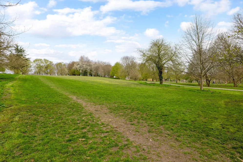 Castle Hill, Farnham, GU9 photo 25