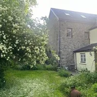 Property 29