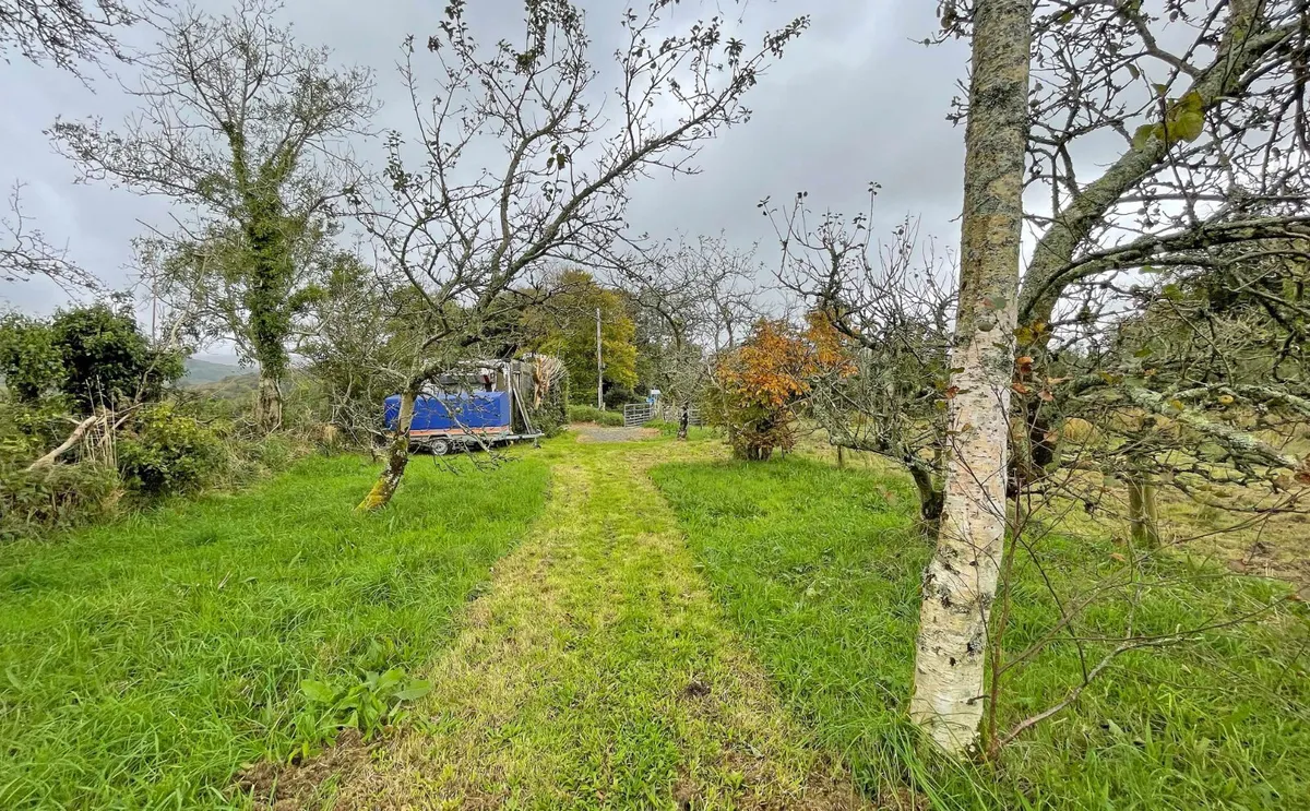 Golan, Garndolbenmaen, Gwynedd, LL51