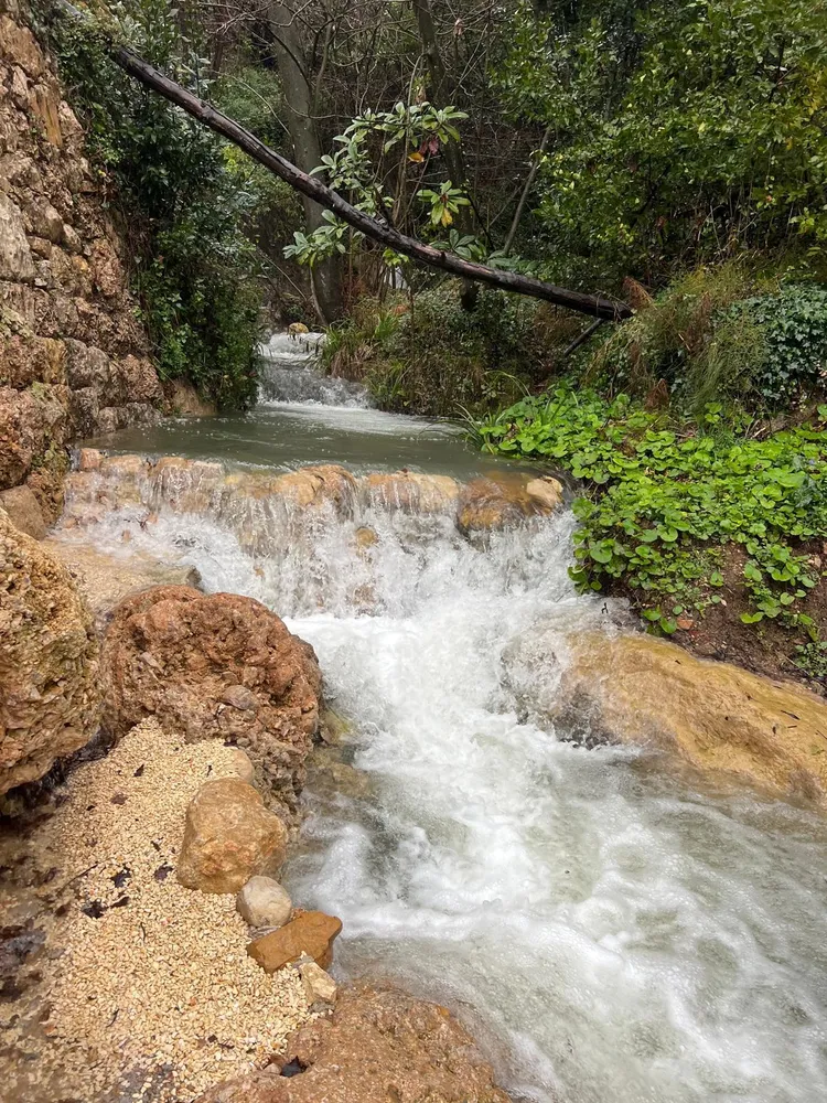 Vence, Alpes Maritimes, France