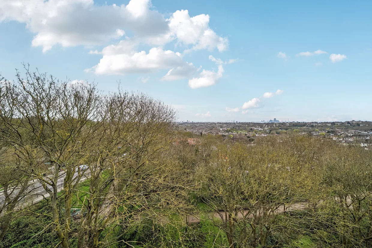 Muswell Hill, London, N10 photo 8
