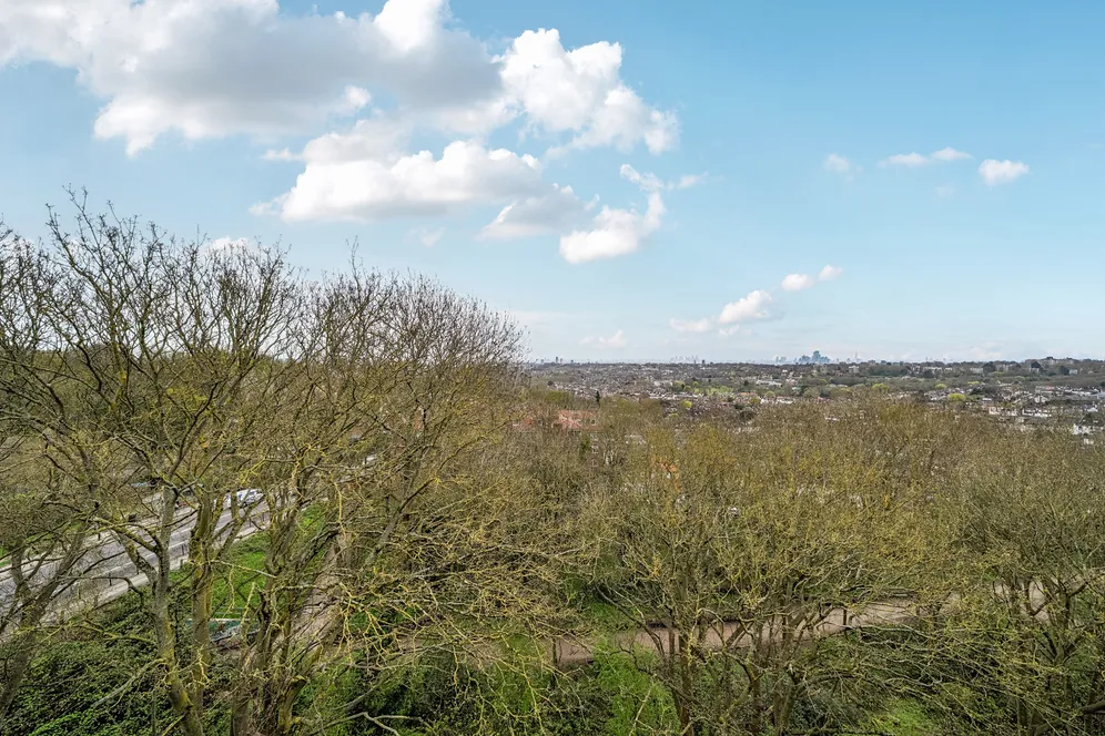 Muswell Hill, London, N10 photo 8