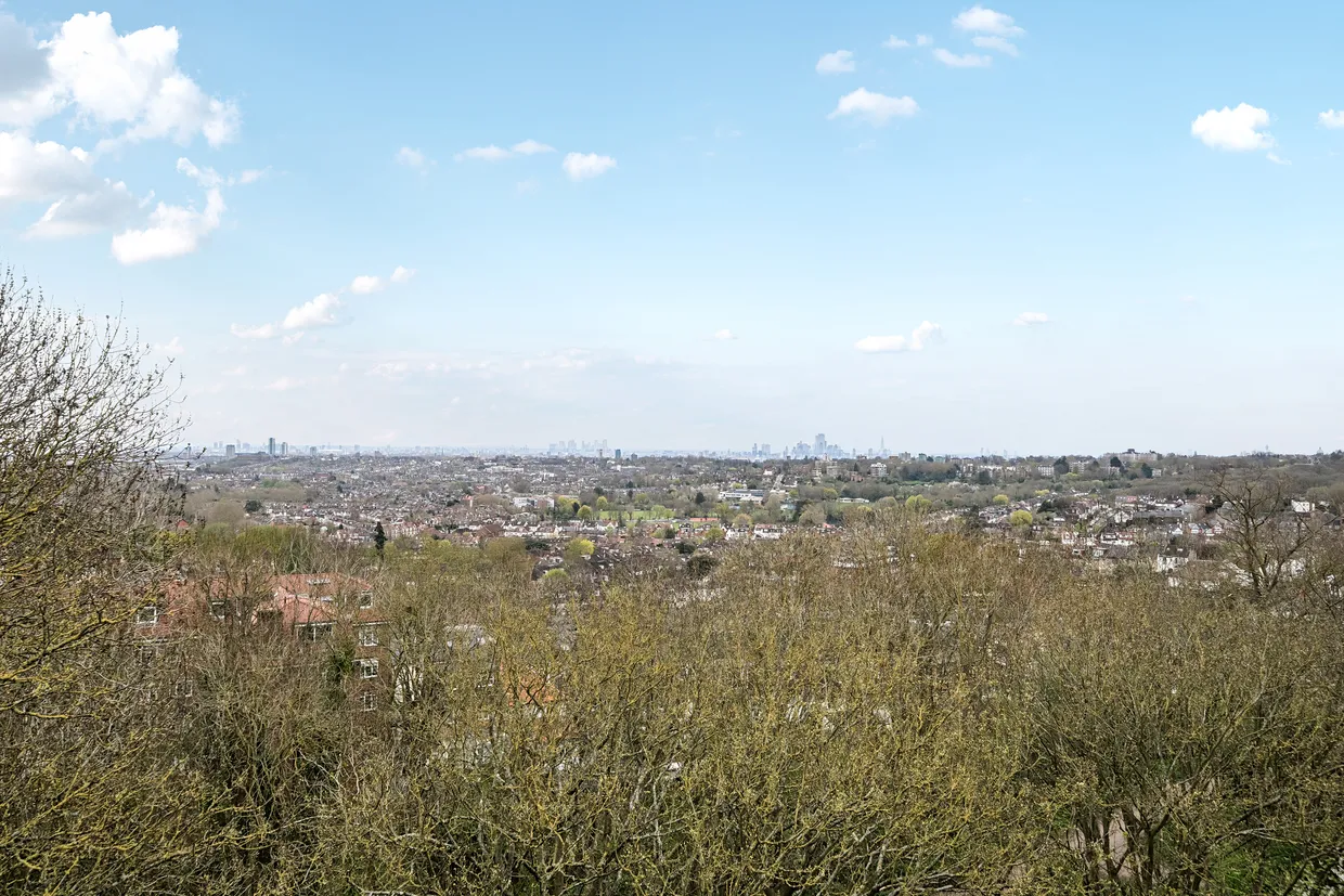Muswell Hill, London, N10 photo 11