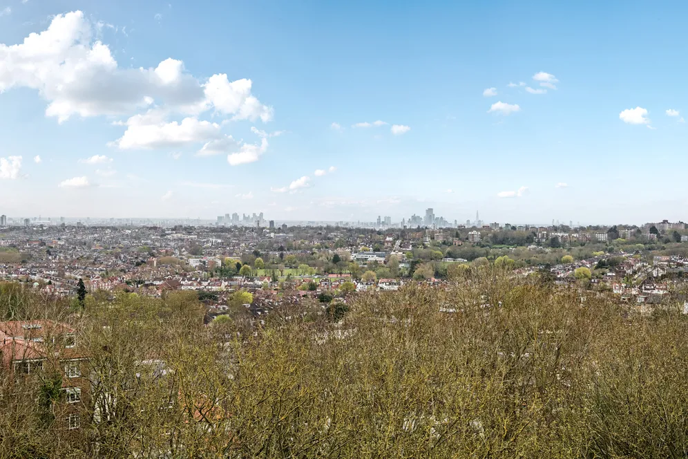 Muswell Hill, London, N10 photo 12