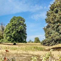 Property 24