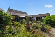Ivy Todd, Necton, Swaffham