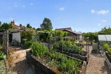 Ivy Todd, Necton, Swaffham