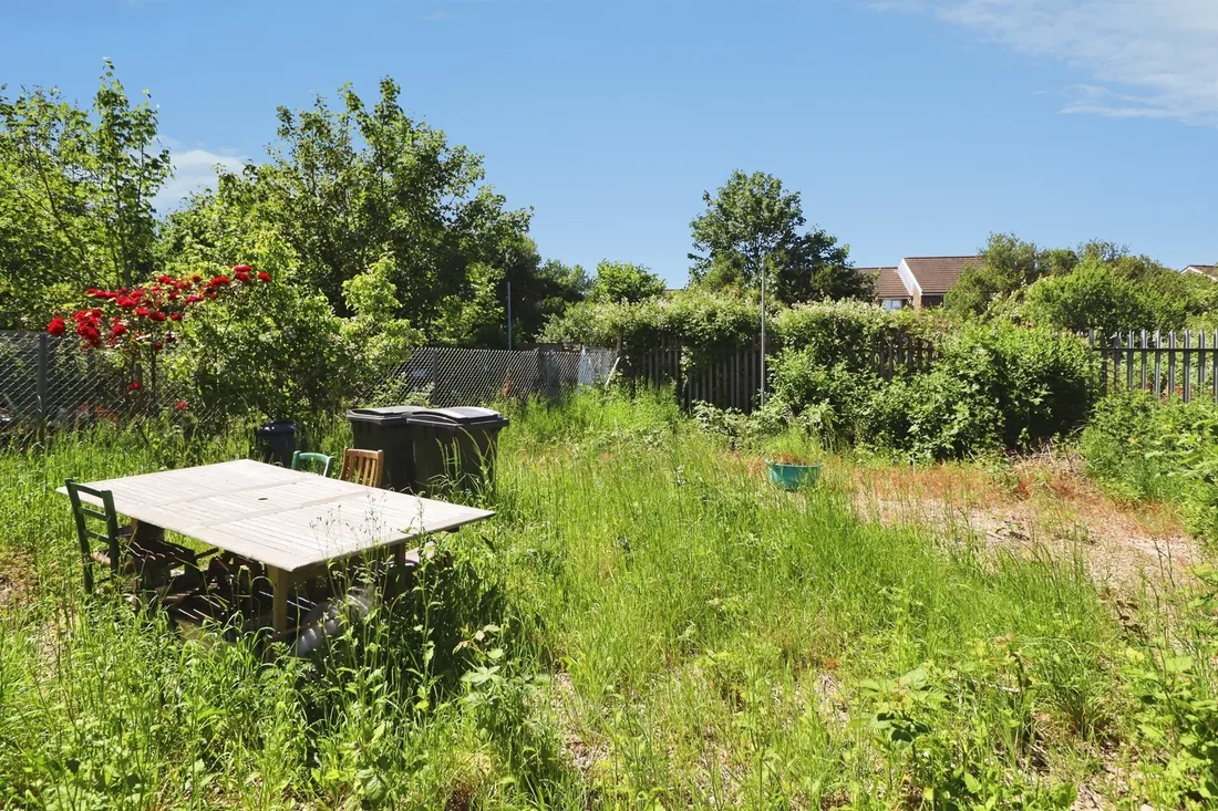 Property photo 14