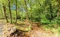 Property image gallery