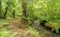 Property image gallery
