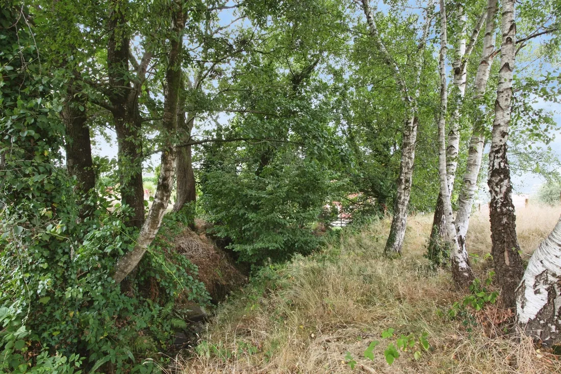 Property photo 34