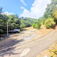Property 26